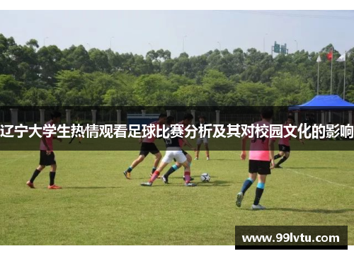 辽宁大学生热情观看足球比赛分析及其对校园文化的影响